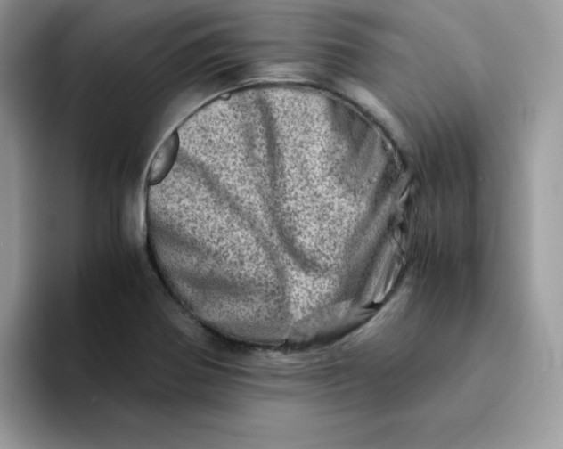 X0000094201370200711091211