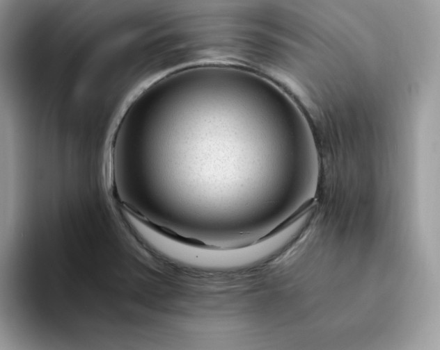 X0000094201371200711091211