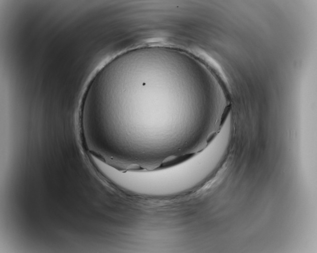 X0000094201373200711091211