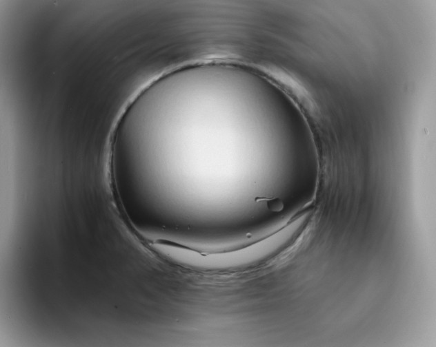 X0000094201374200711091211