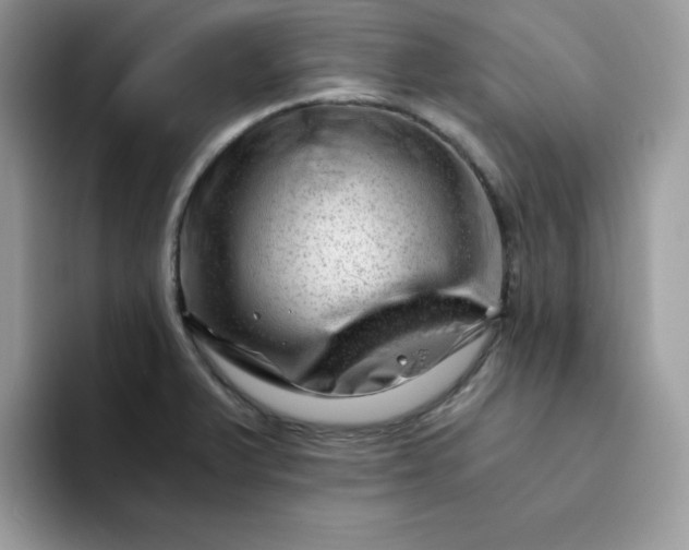 X0000094201375200711091211