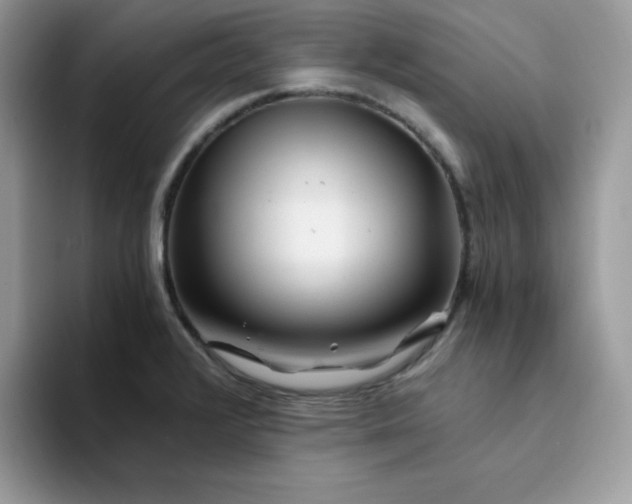 X0000094201376200711091211