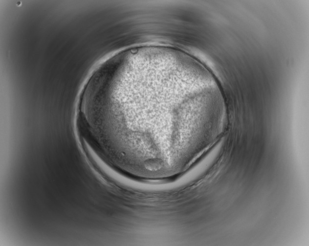 X0000094201379200711091211