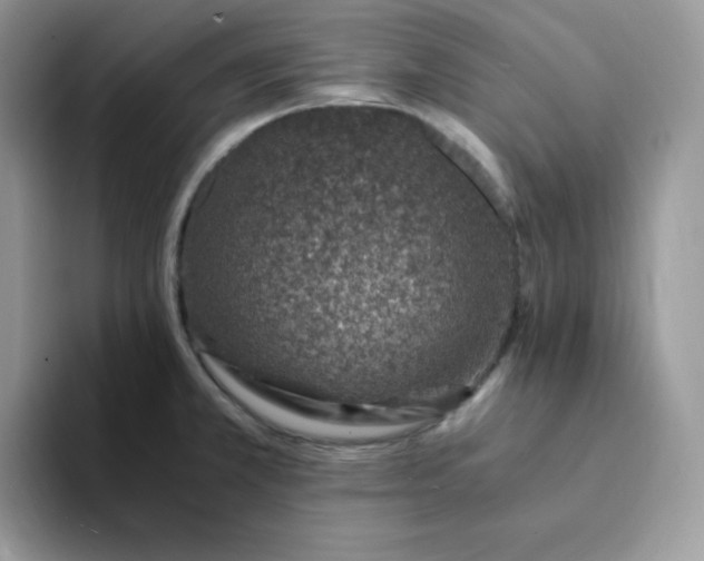 X0000094201381200711091211
