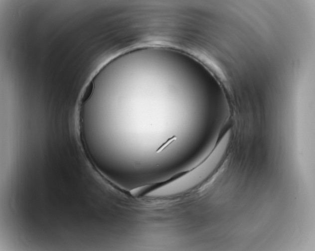 X0000094201382200711091211