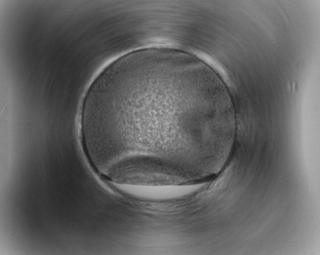 X0000094201383200711091211