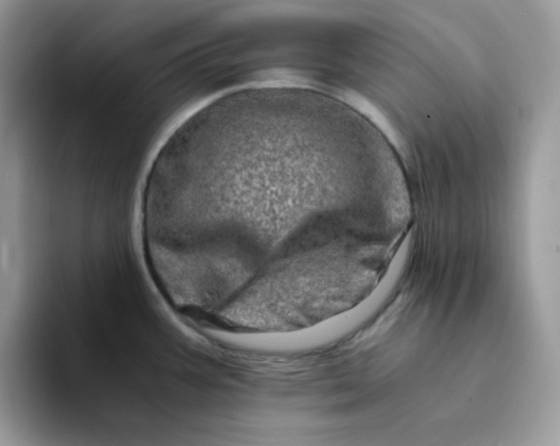X0000094201387200711091211