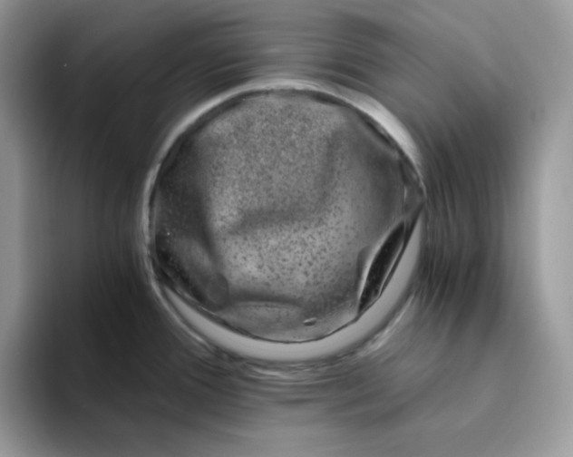 X0000094201388200711091211