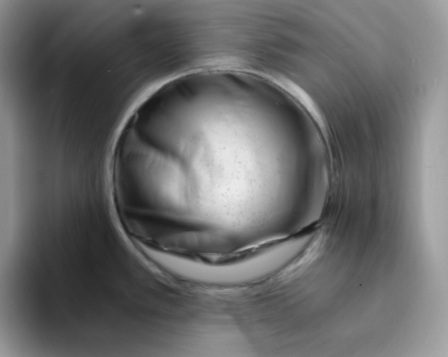 X0000094201389200711091211