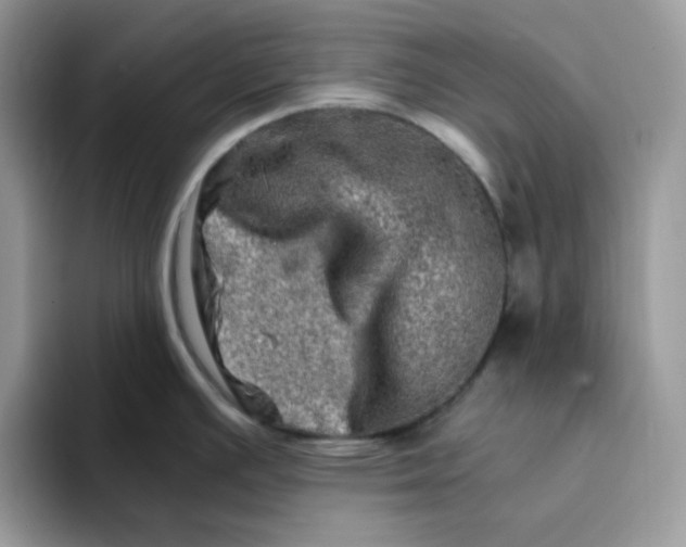 X0000094201391200711091211