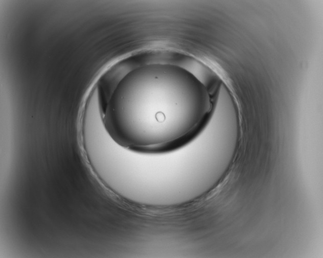 X0000094201392200711091211