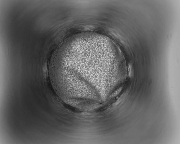 X0000094201395200711091211