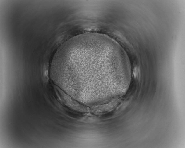 X0000094201396200711091211