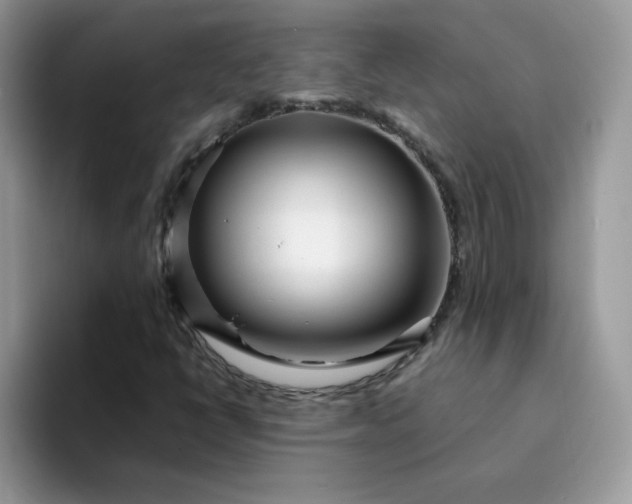 X0000094201398200711091211