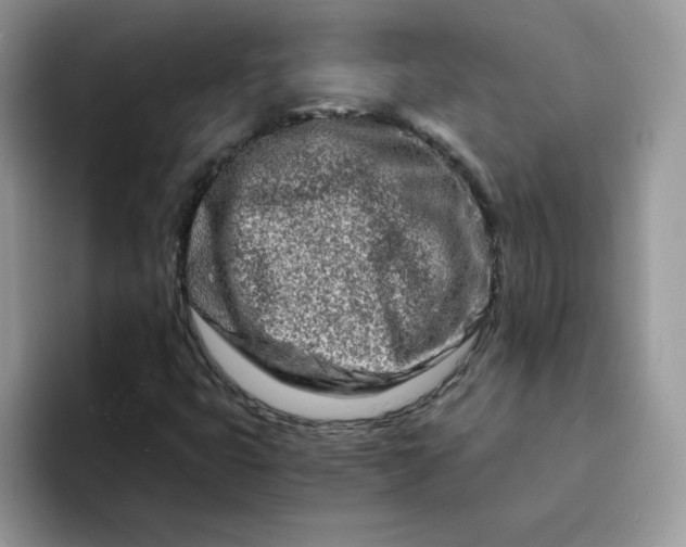 X0000094201399200711091211