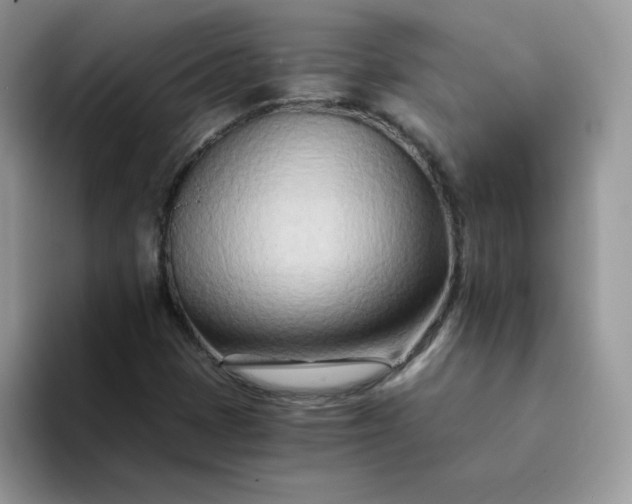 X0000094201401200711091211
