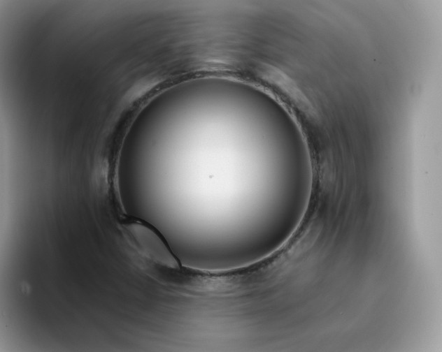 X0000094201402200711091211
