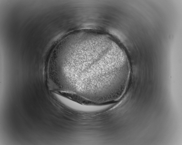 X0000094201403200711091211