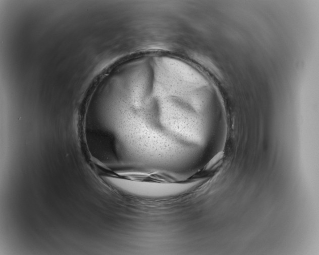 X0000094201404200711091211