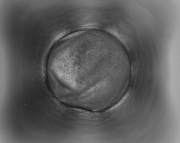 X0000094201405200711091211