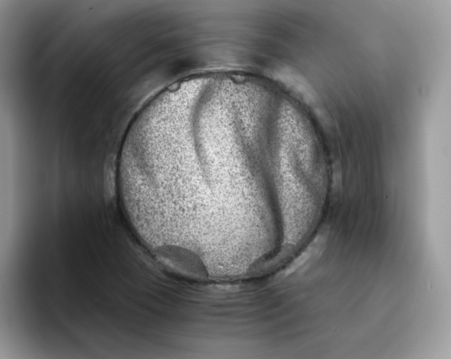 X0000094201409200711091211