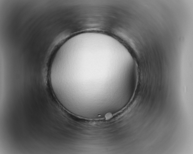 X0000094201411200711091211