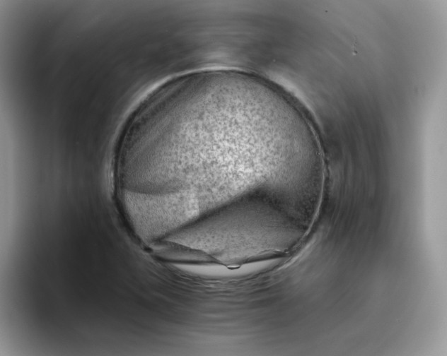 X0000094201415200711091211