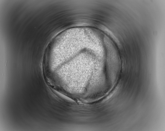 X0000094201417200711091211