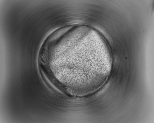 X0000094201418200711091211