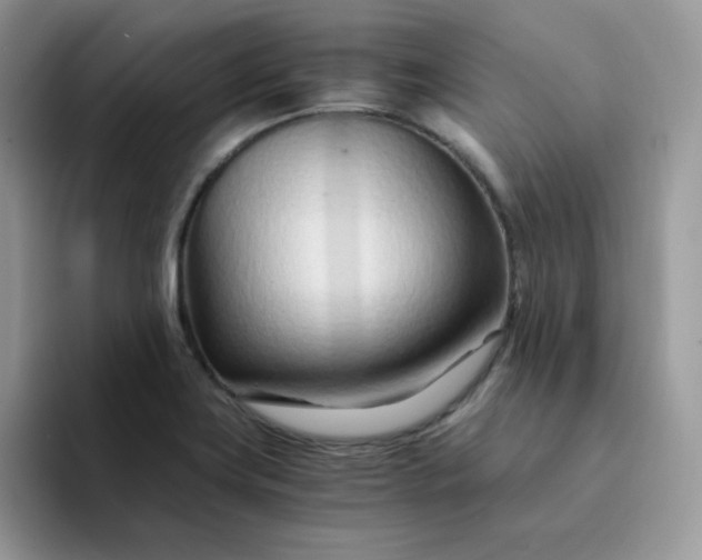 X0000094201419200711091211