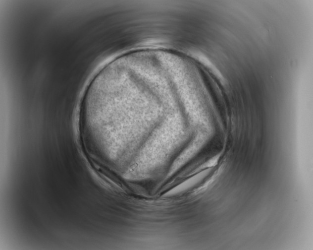 X0000094201421200711091211