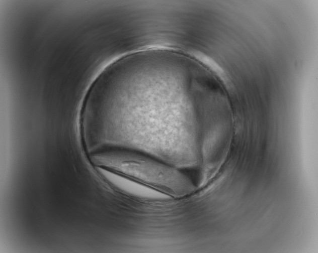X0000094201423200711091211