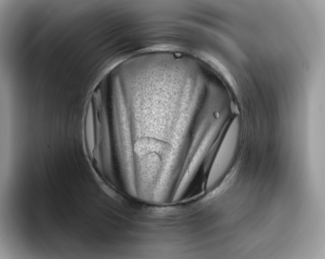 X0000094201425200711091211