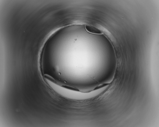 X0000094201427200711091211