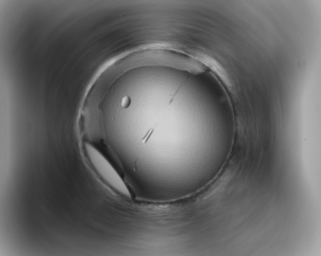 X0000094201428200711091211