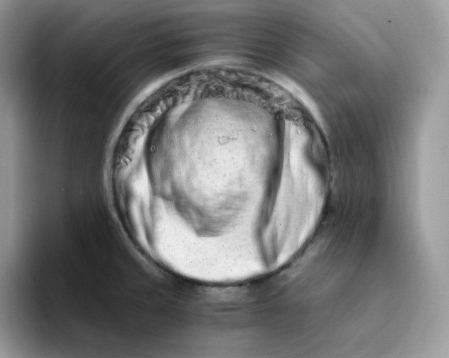 X0000094201429200711091211