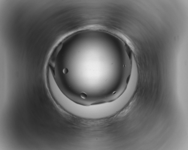 X0000094201430200711091211