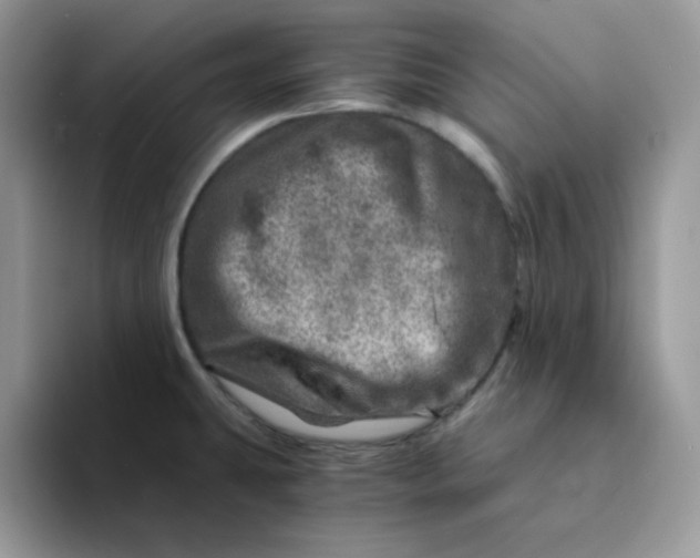 X0000094201431200711091211