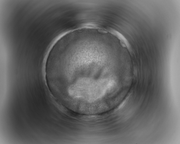 X0000094201435200711091211