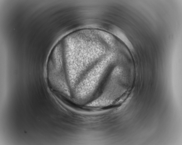 X0000094201436200711091211