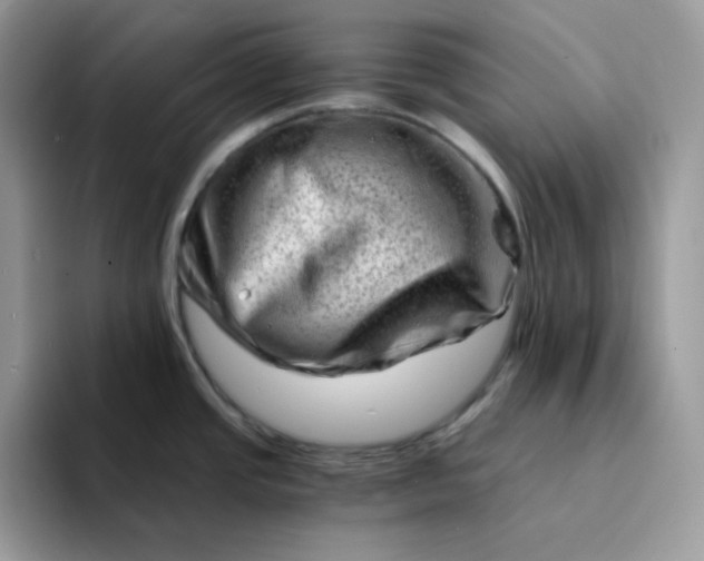 X0000094201437200711091211