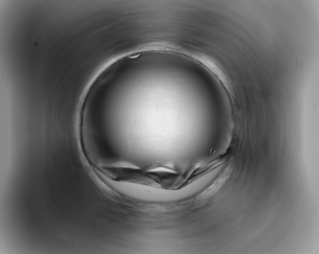 X0000094201438200711091211