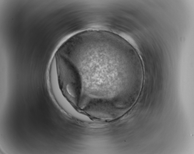X0000094201440200711091211