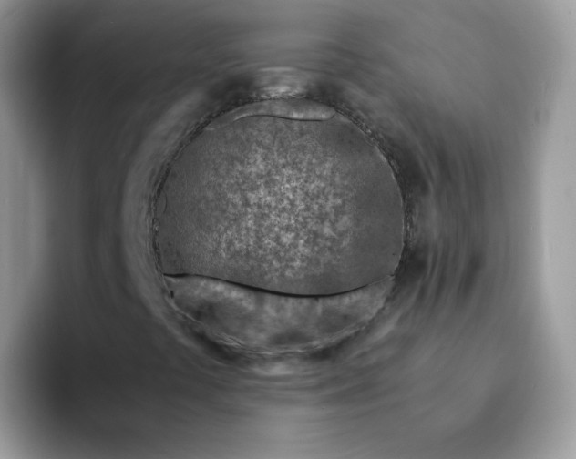 X0000094201441200711091211
