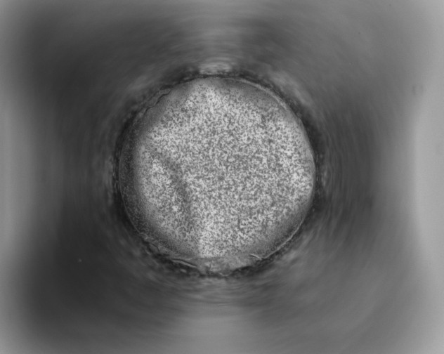 X0000094201445200711091210