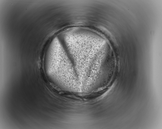 X0000094201449200711091210