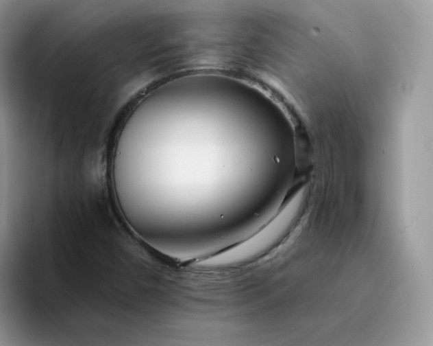 X0000094201450200711091210