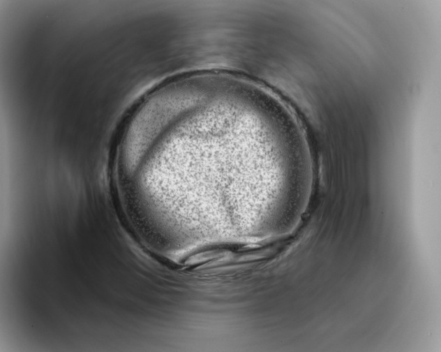X0000094201452200711091210