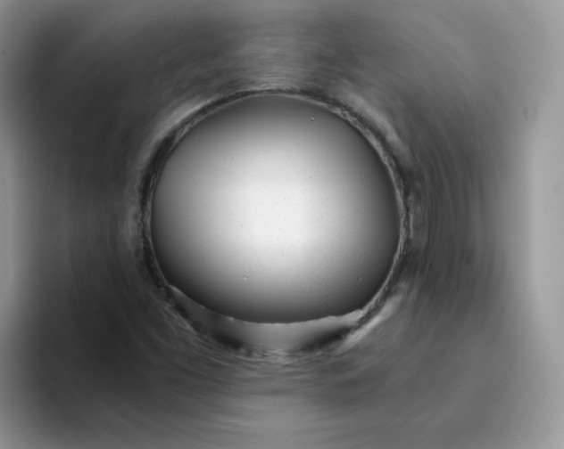 X0000094201453200711091210