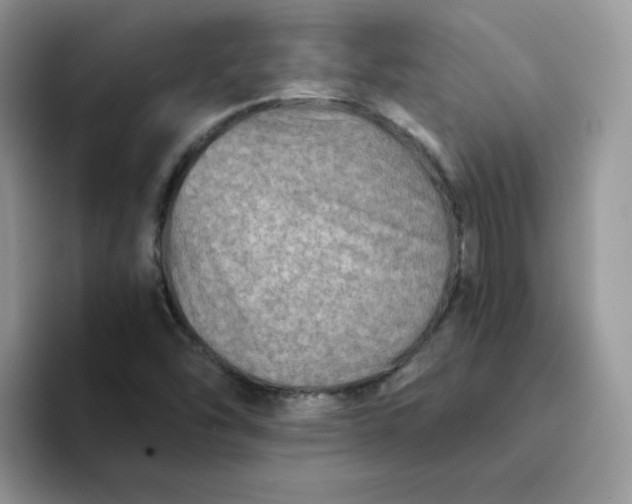 X0000094201454200711091210